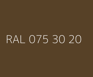 Colour RAL 075 30 20 