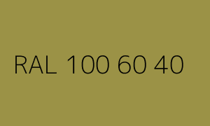 Colour RAL 100 60 40