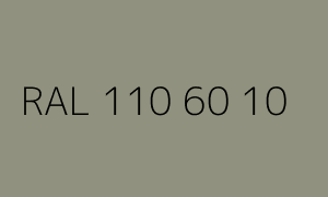 Colour RAL 110 60 10