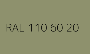 Colour RAL 110 60 20