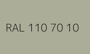 Colour RAL 110 70 10