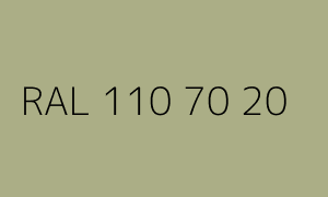 Colour RAL 110 70 20