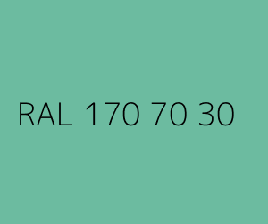 Colour RAL 170 70 30 MINT COLD GREEN