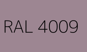 Colour RAL 4009