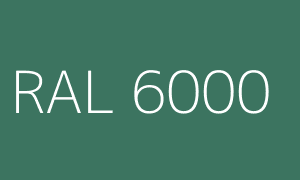 Colour RAL 6000