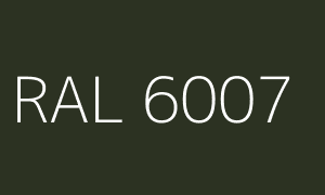 Colour RAL 6007