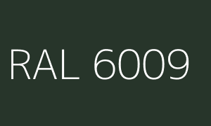 Colour RAL 6009