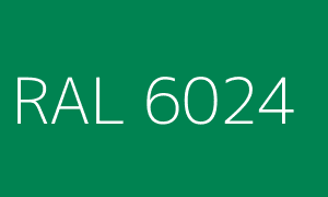 Colour RAL 6024