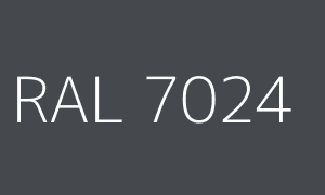 Colour RAL 7024