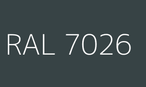 Colour RAL 7026