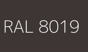 Colour RAL 8019