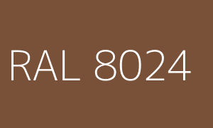 Colour RAL 8024
