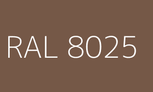 Colour RAL 8025