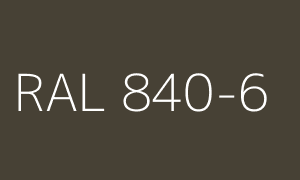 Colour RAL 840-6